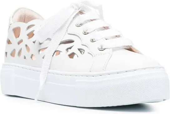 AGL Mandi laser-cut sneaker White