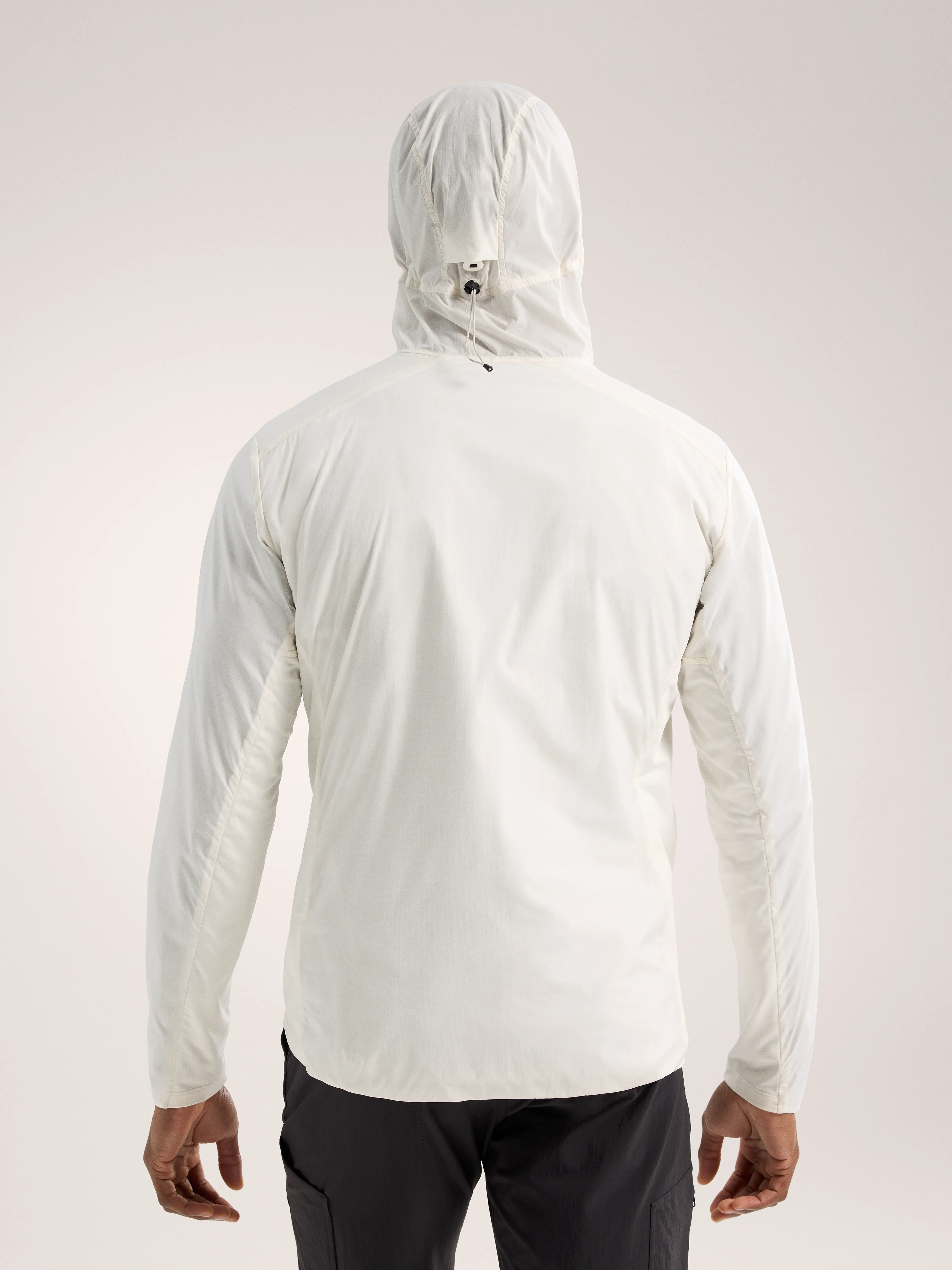 Arc'teryx Men's Atom SL Hoody Arctic Silk/Vitality | Buy Arc'teryx Men's Atom SL Hoody Arctic Silk/Vitality 