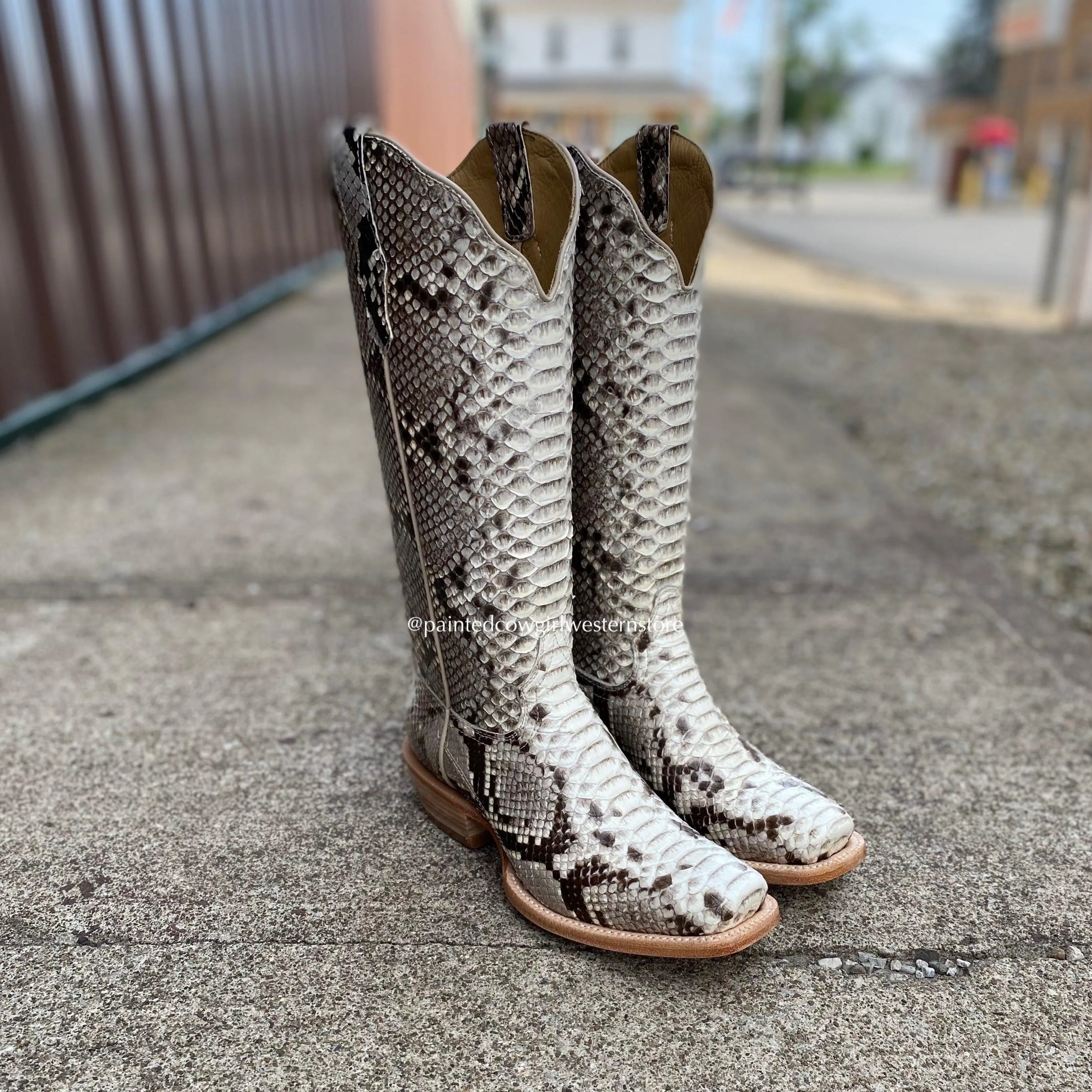 R. Watson Women's Black And White Python Square Toe Cowgirl Boots RWL7200